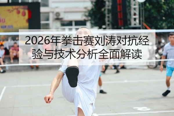 2026年拳击赛刘涛对抗经验与技术分析全面解读