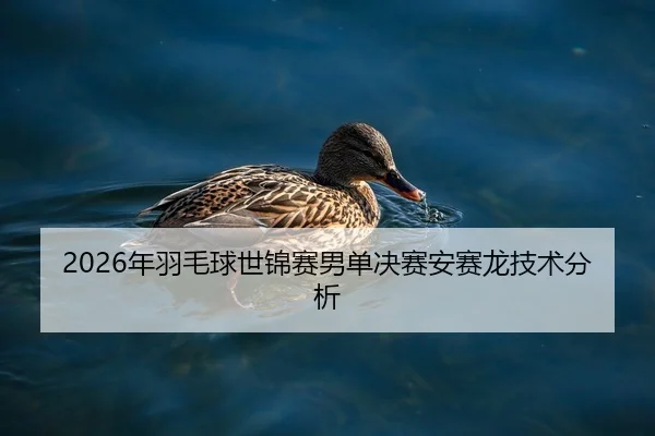 2026年羽毛球世锦赛男单决赛安赛龙技术分析