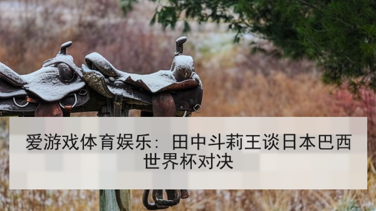 爱游戏体育娱乐: 田中斗莉王谈日本巴西世界杯对决
