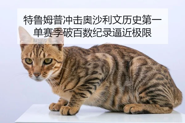 特鲁姆普冲击奥沙利文历史第一 单赛季破百数纪录逼近极限